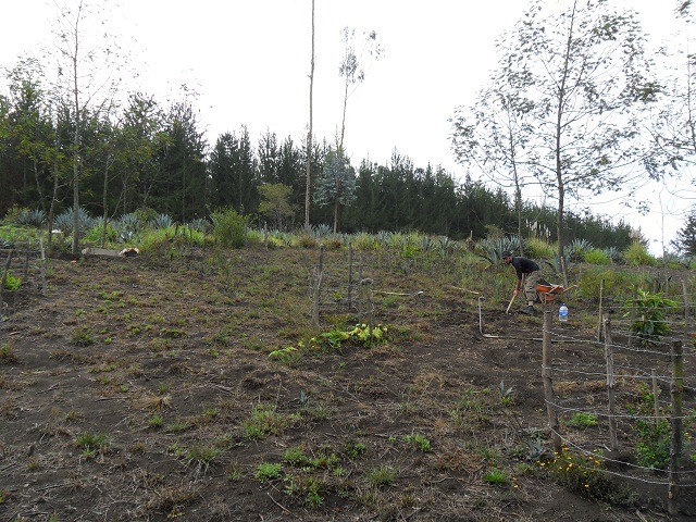 all-farm-no-pond