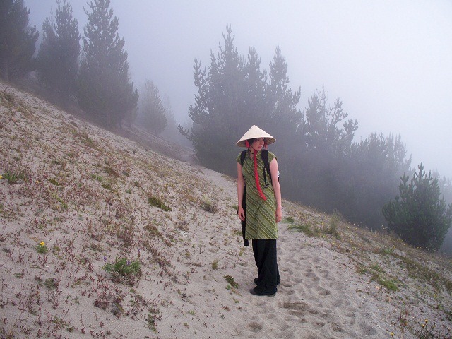 moon-to-pine-forest